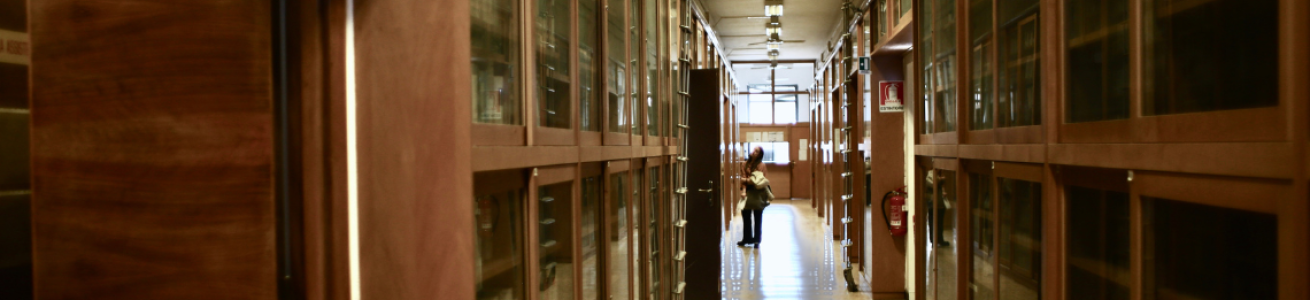 Public Law Section