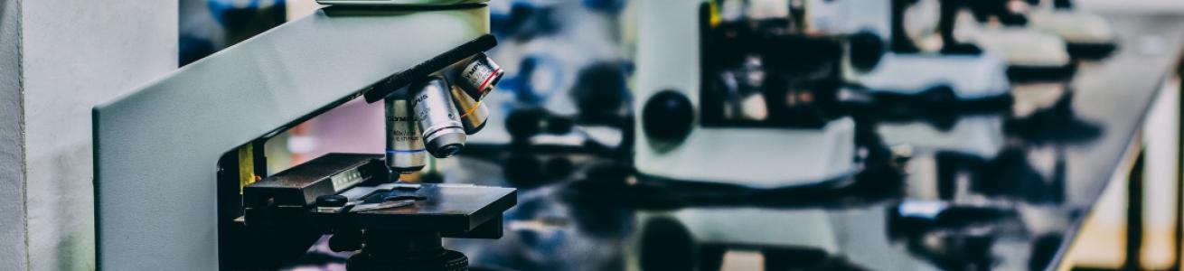 Legal and Economic Research Laboratory (LARGE)